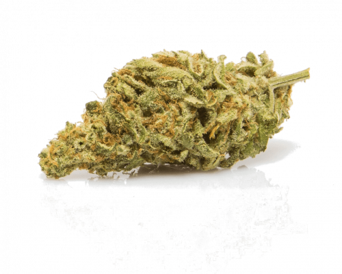Northern Lights