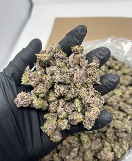 Blueberry Haze Strain