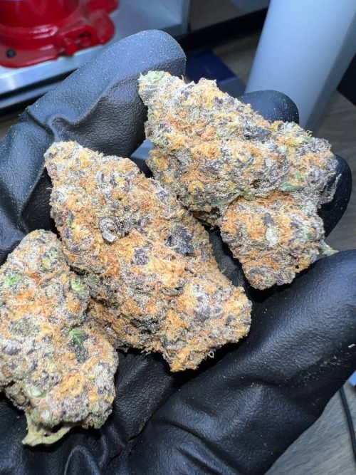 Cherry Pie Strain - Image 2