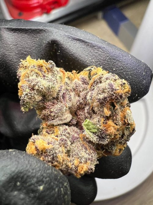 Cherry Pie Strain