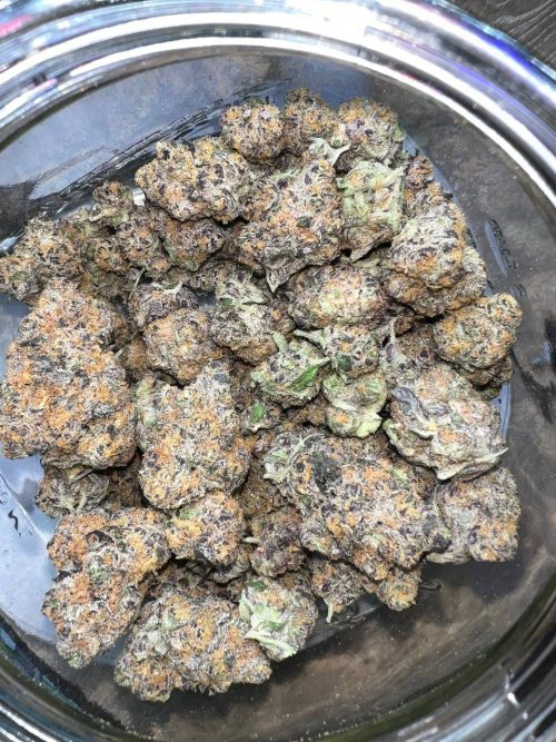 Peach Rings Strain - Image 3