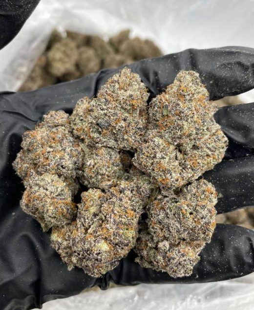 Pink Certz Strain