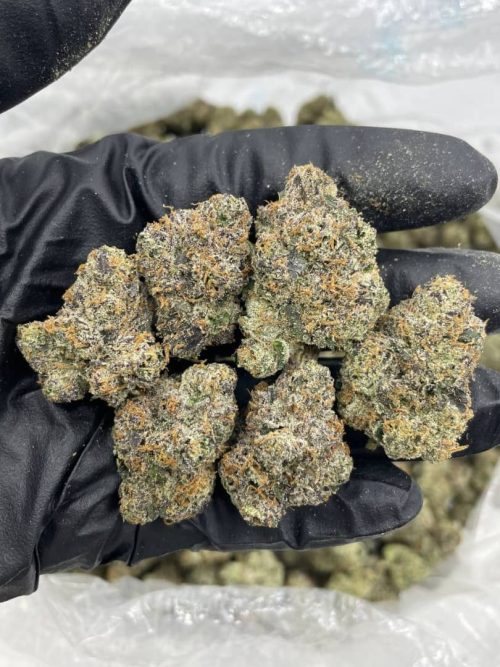 Lemon cherry strain