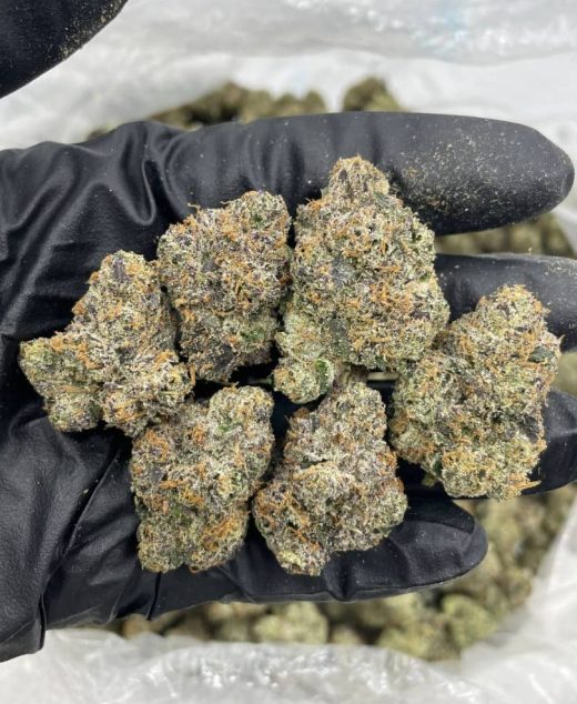 Lemon cherry strain
