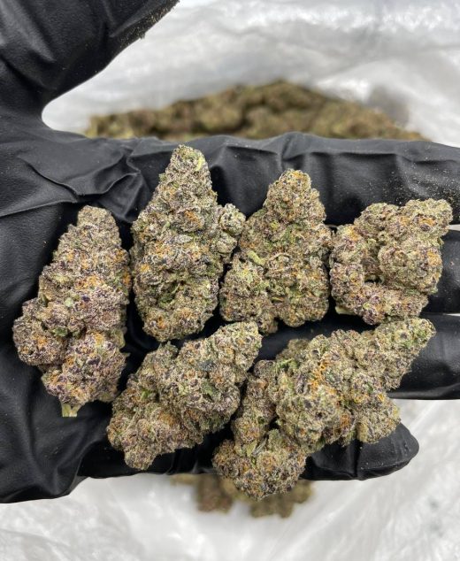Grape Slurpee Strain