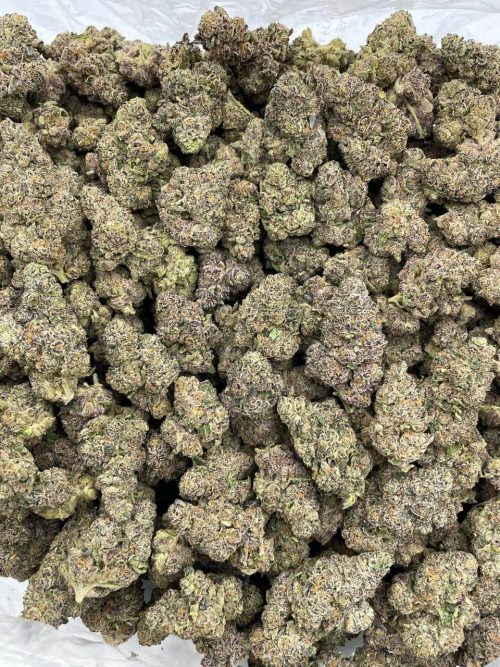 Grape Slurpee Strain - Image 2