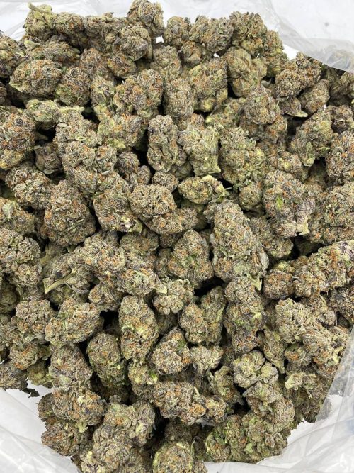 Watermelon Taffy Strain - Image 2