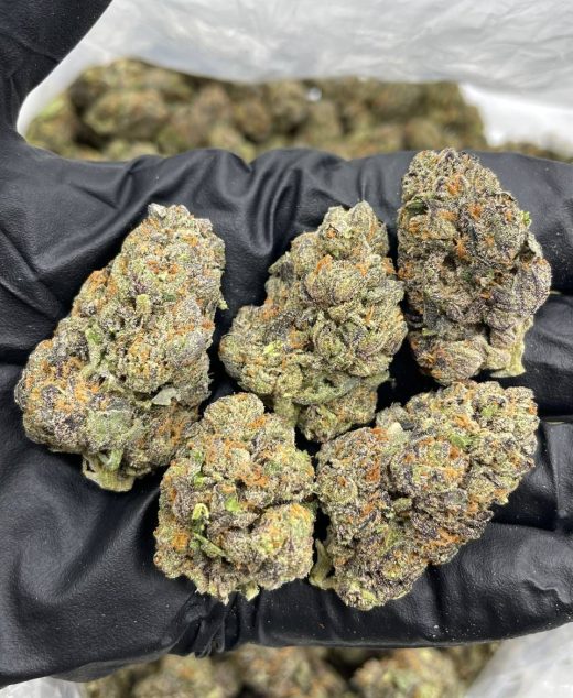 Watermelon Taffy Strain
