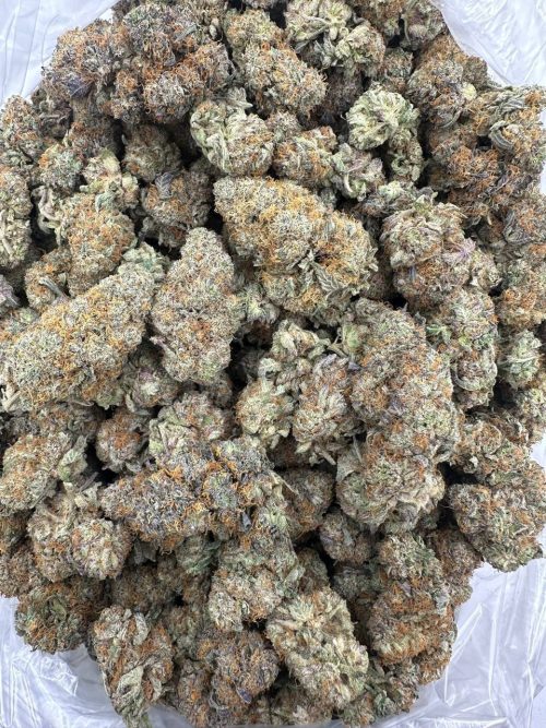 Truffles strain - Image 2