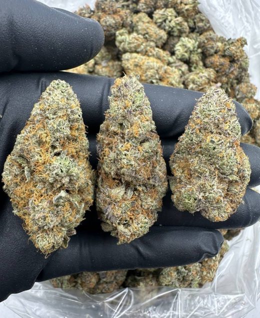 Truffles strain