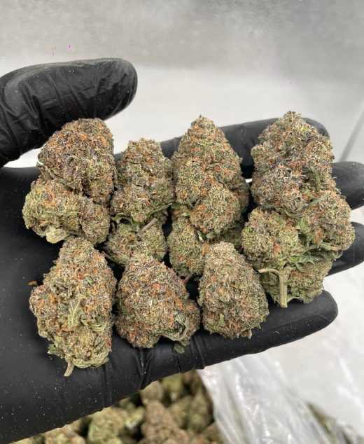 Lemon cherry gelato