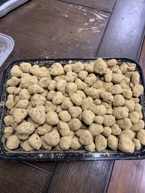Moon rocks