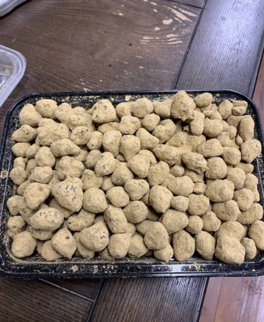 Moon rocks