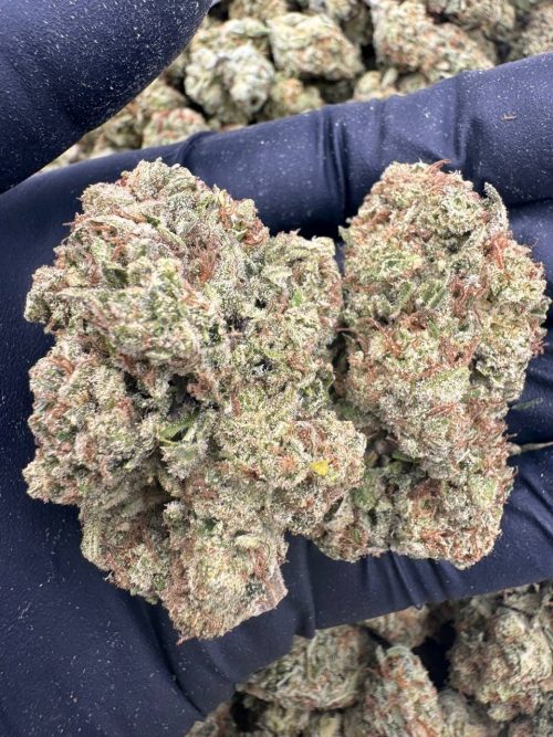 Papaya Punch Strain