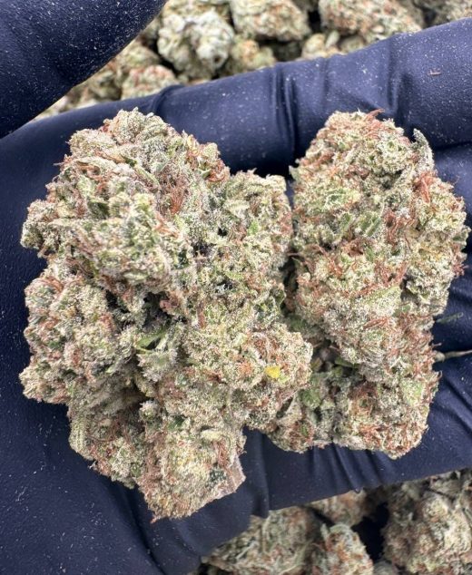 Papaya Punch Strain