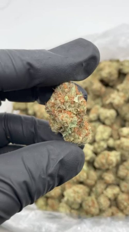 OG Kush Strain - Image 2