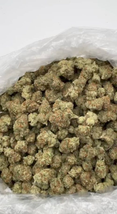 OG Kush Strain