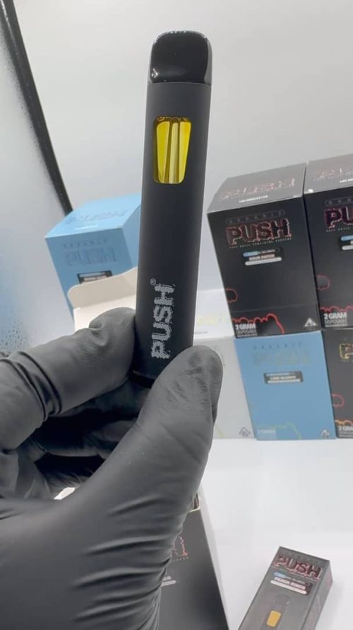Push 2g disposable