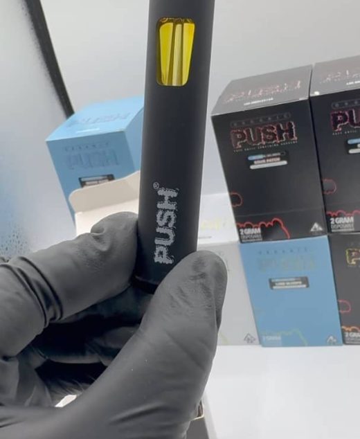 Push 2g disposable