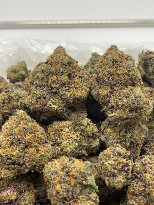 Gelato 47
