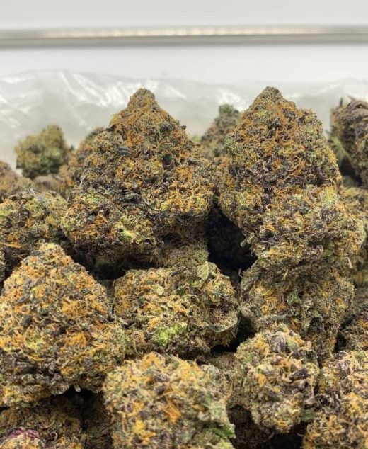 Gelato 47