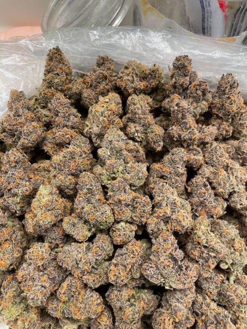 Grease Monkey Strain