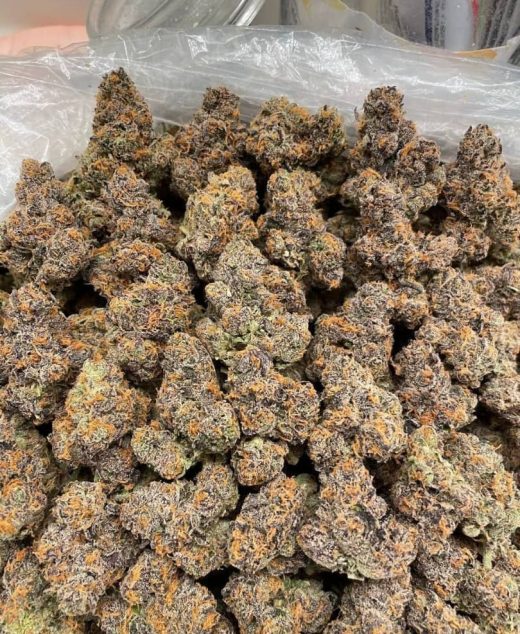 Grease Monkey Strain