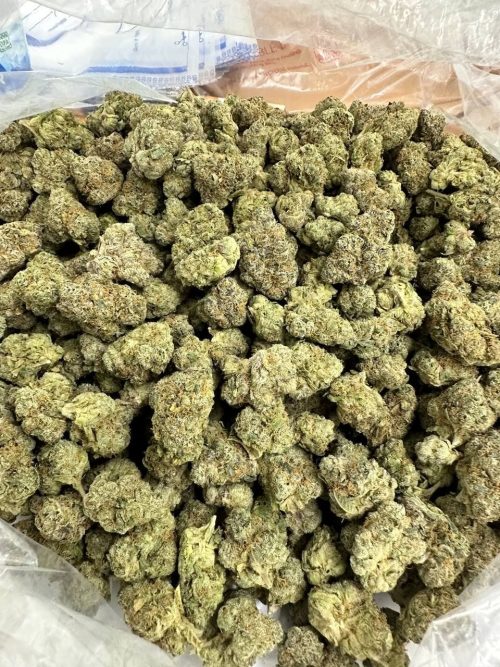 Candy Lemonz Strain