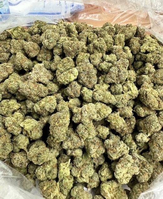 Candy Lemonz Strain