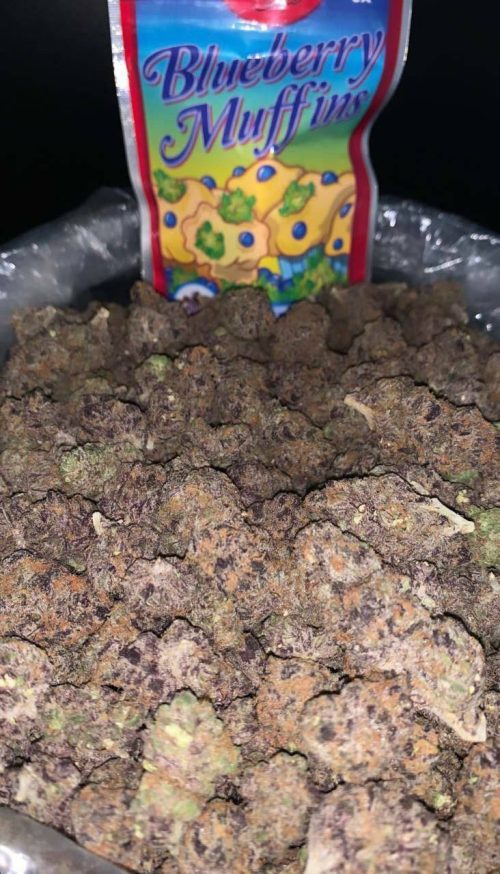 Blueberry Muffins Strain
