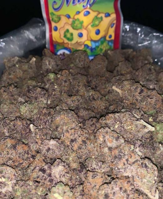 Blueberry Muffins Strain