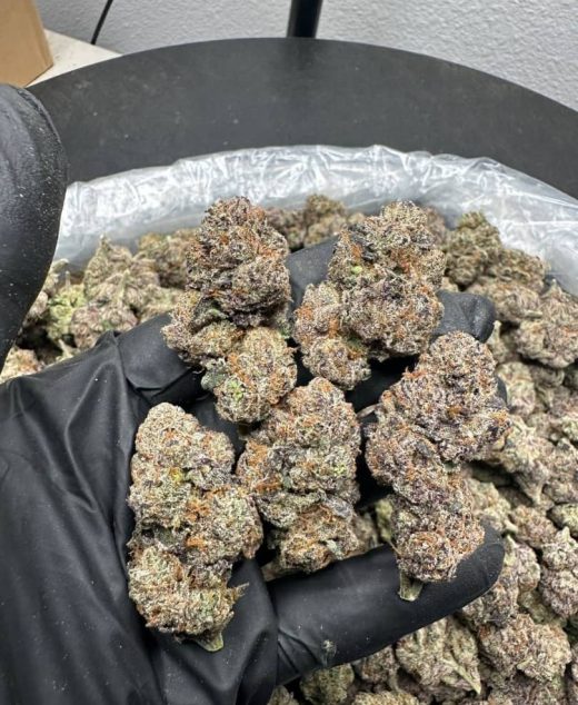 Rainbow Runtz Strain