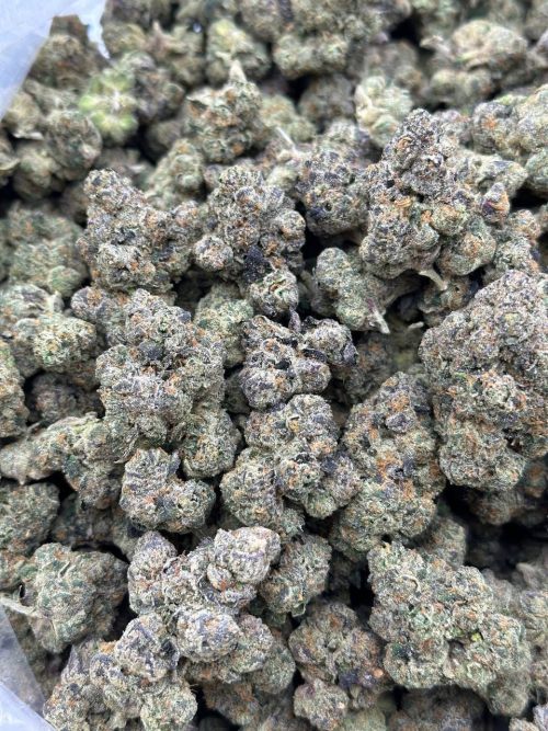 Ballerz Strain
