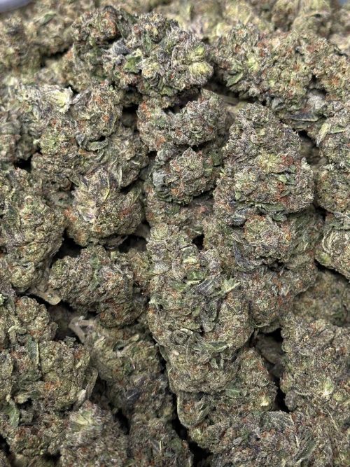 Purple Lemonade Strain