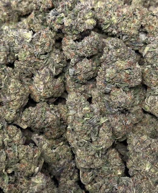 Purple Lemonade Strain