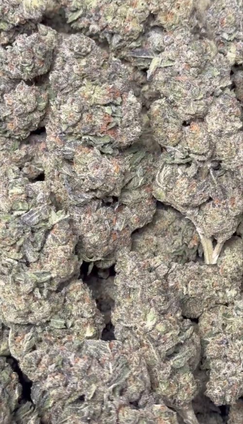 Purple Lemonade Strain - Image 2