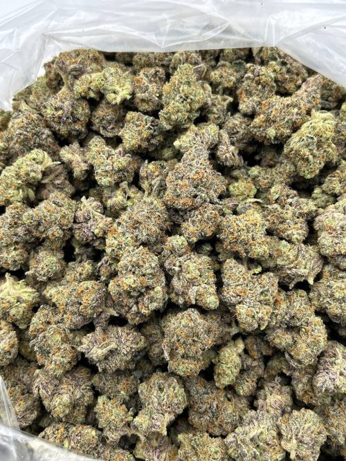 RS 11 Strain - Image 2