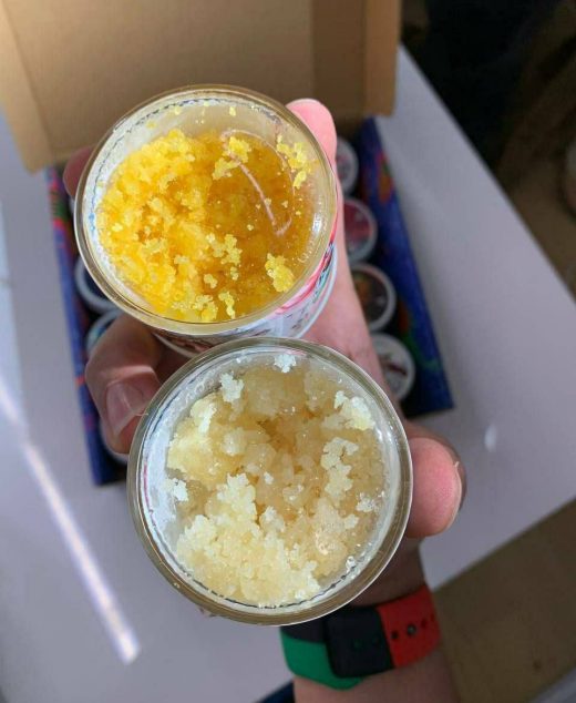 Drippin Terps