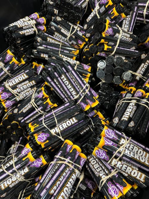 Cali Plug Pre Rolls