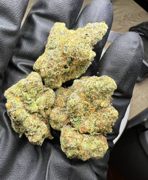 Sunset Runtz Strain