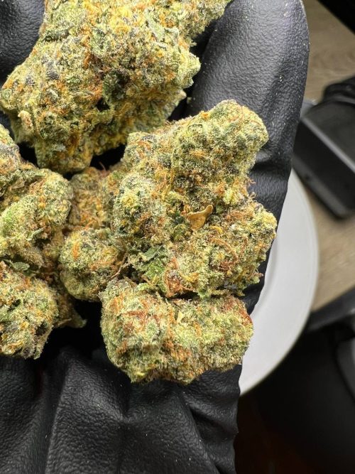 Sunset Runtz Strain - Image 2