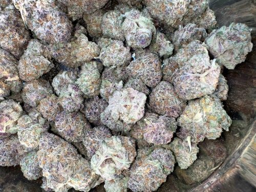 Apples And Bananas Strain - Image 3