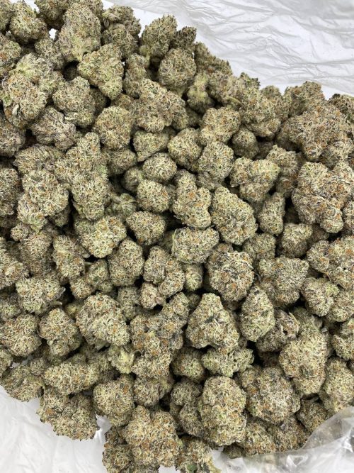 Grape Truffles Strain