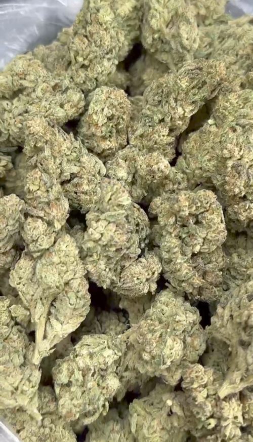 Oreo Strain - Image 2