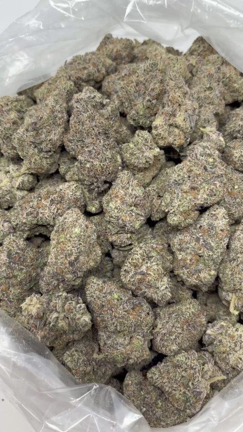 Italian Ice Strain