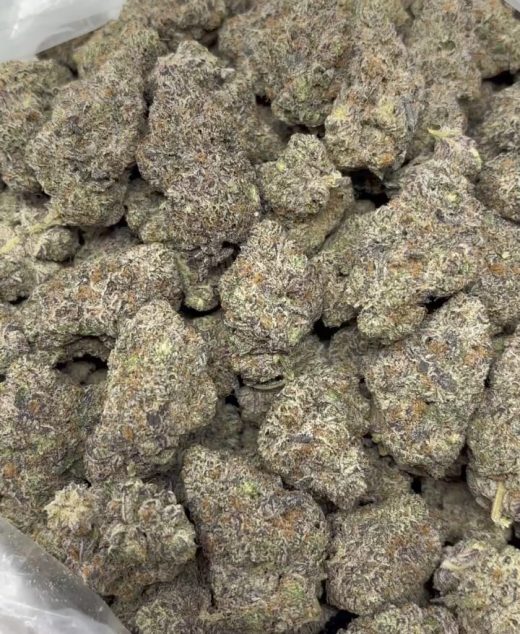 Italian Ice Strain