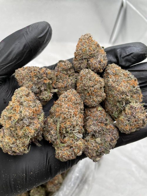 Diamond Runtz - Image 2