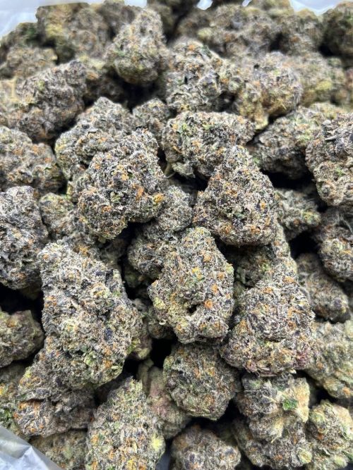 Pablo Escobar Strain