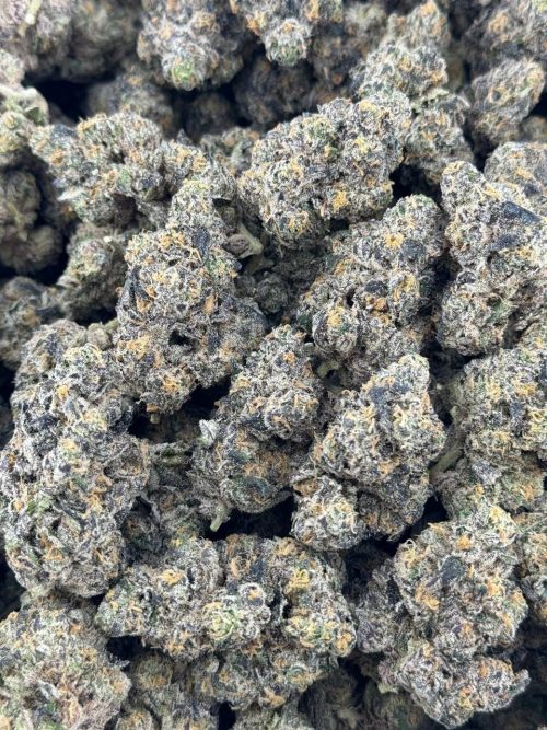 Obama Runtz Strain