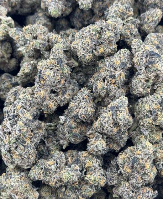 Obama Runtz Strain